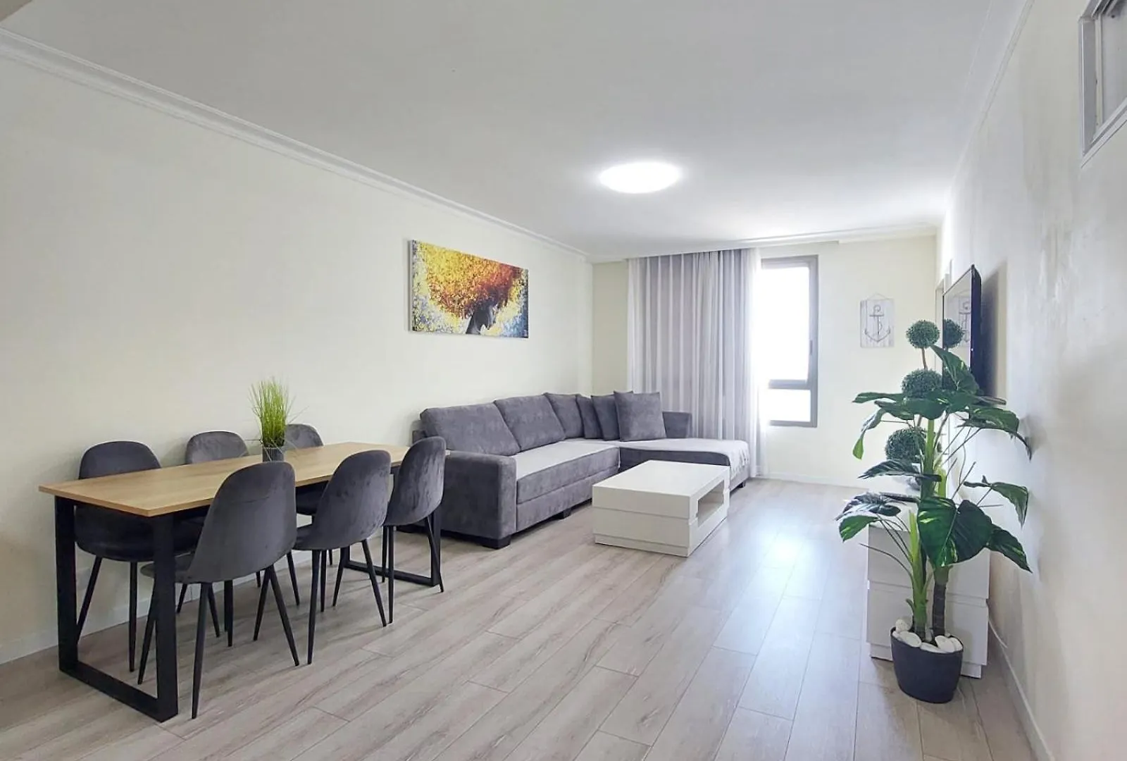Apartment מלון דירות אלמוג Haifa Israel